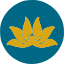 Vietnam Airlines